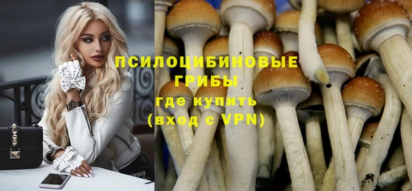 apvp Абаза