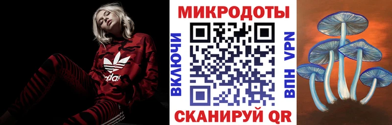 Псилоцибиновые грибы Cubensis  Руза 